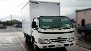 2010 Toyota Dyna